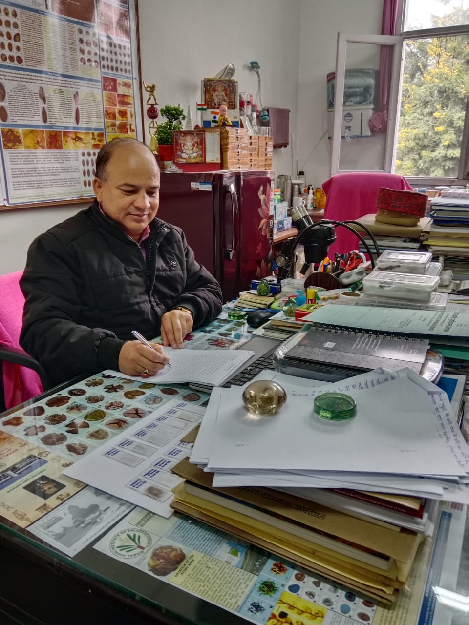 Amber Analysis and Palaeoentomology Laboratory Image 1 amber 1