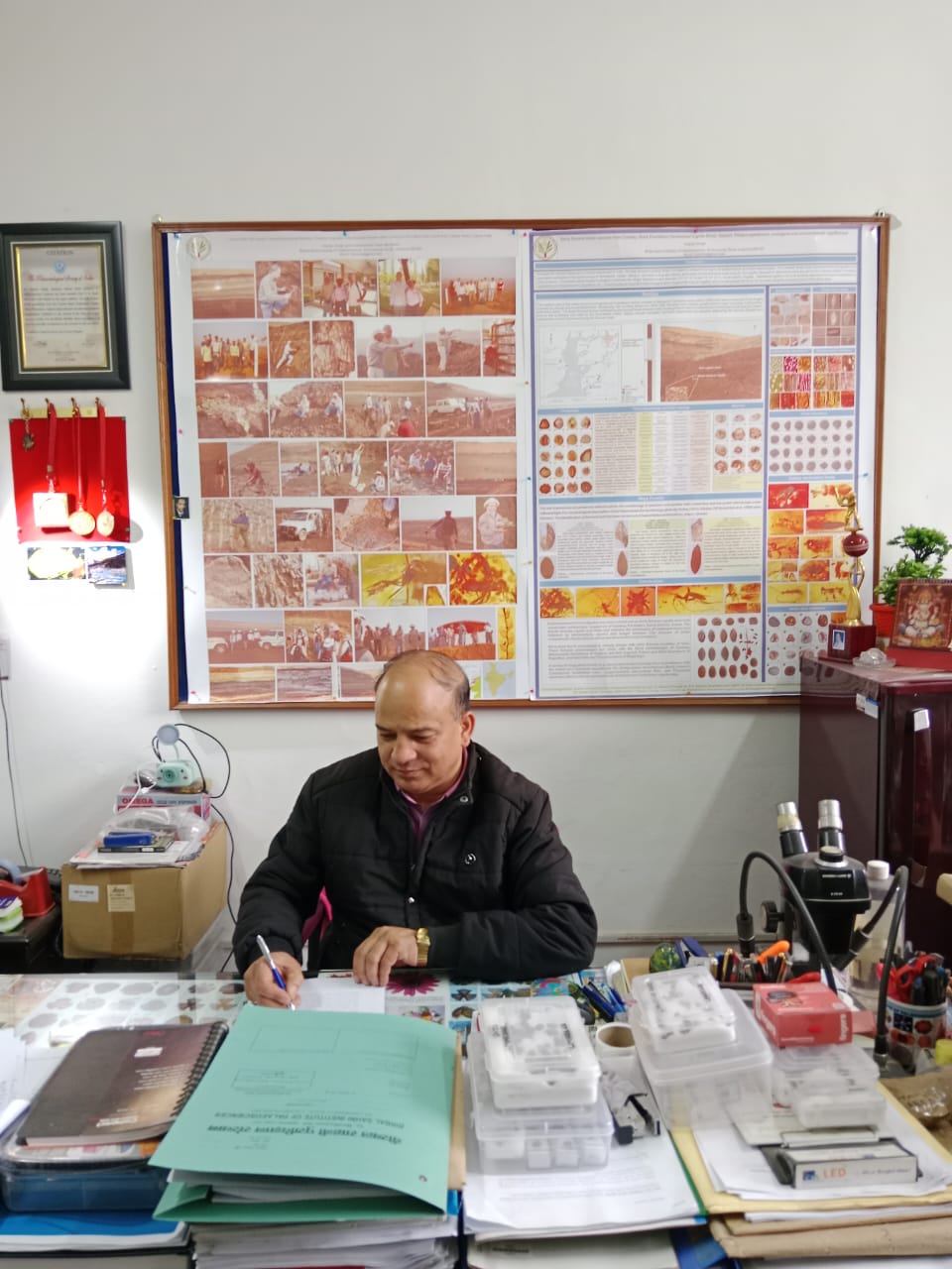 Amber Analysis and Palaeoentomology Laboratory Image 4 amber