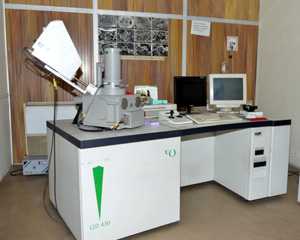 aa